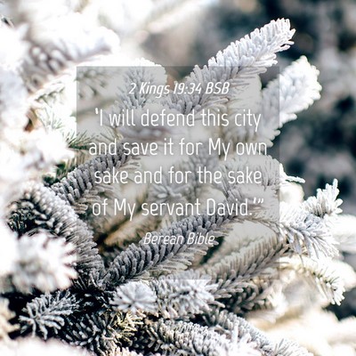 Picture 04 - 2 Kings 19:34 BSB - ‘I will defend this city and save it for My own - Bible Verse Picture