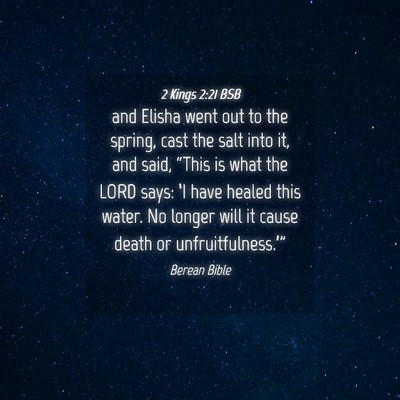 Picture 04 - 2 Kings 2:21 BSB - and Elisha went out to the spring, cast the salt - Bible Verse Picture