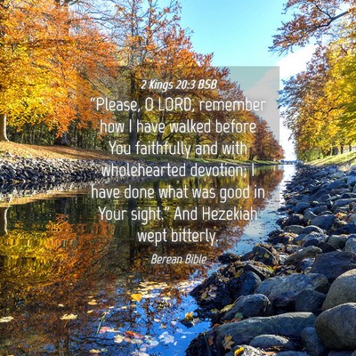 Picture 04 - 2 Kings 20:3 BSB - “Please, O LORD, remember how I have walked - Bible Verse Picture