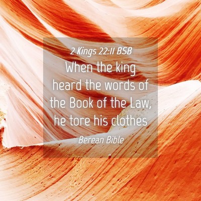 Picture 04 - 2 Kings 22:11 BSB - When the king heard the words of the Book of the - Bible Verse Picture