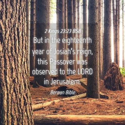 Picture 04 - 2 Kings 23:23 BSB - But in the eighteenth year of Josiah’s reign, - Bible Verse Picture