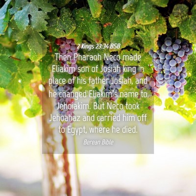 Picture 04 - 2 Kings 23:34 BSB - Then Pharaoh Neco made Eliakim son of Josiah king - Bible Verse Picture