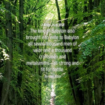 Picture 04 - 2 Kings 24:16 BSB - The king of Babylon also brought into exile to - Bible Verse Picture