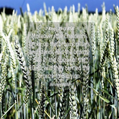 Picture 04 - 2 Kings 25:13 BSB - Moreover, the Chaldeans broke up the bronze - Bible Verse Picture