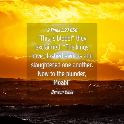 Picture 04 - 2 Kings 3:23 BSB - “This is blood!” they exclaimed. “The kings - Bible Verse Picture