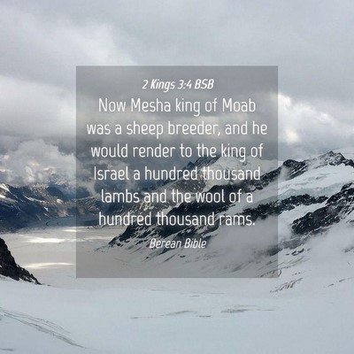 Picture 04 - 2 Kings 3:4 BSB - Now Mesha king of Moab was a sheep breeder, and - Bible Verse Picture