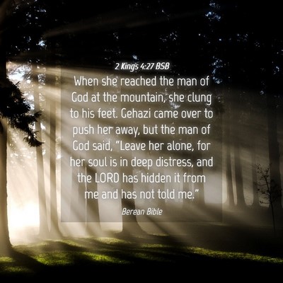 Picture 04 - 2 Kings 4:27 BSB - When she reached the man of God at the mountain, - Bible Verse Picture