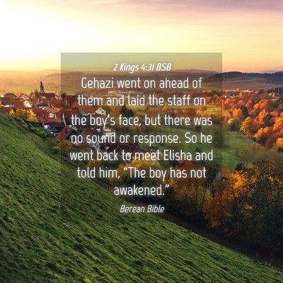 Picture 04 - 2 Kings 4:31 BSB - Gehazi went on ahead of them and laid the staff - Bible Verse Picture