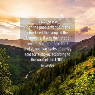 Picture 04 - 2 Kings 7:16 BSB - Then the people went out and plundered the camp - Bible Verse Picture