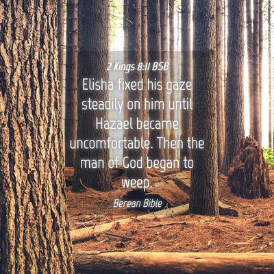 Picture 04 - 2 Kings 8:11 BSB - Elisha fixed his gaze steadily on him until - Bible Verse Picture