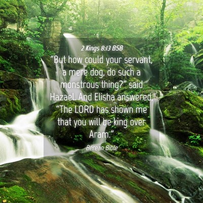 Picture 04 - 2 Kings 8:13 BSB - “But how could your servant, a mere dog, do - Bible Verse Picture