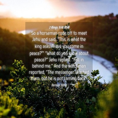 Picture 04 - 2 Kings 9:18 BSB - So a horseman rode off to meet Jehu and said, - Bible Verse Picture