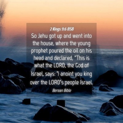 Picture 04 - 2 Kings 9:6 BSB - So Jehu got up and went into the house, where the - Bible Verse Picture