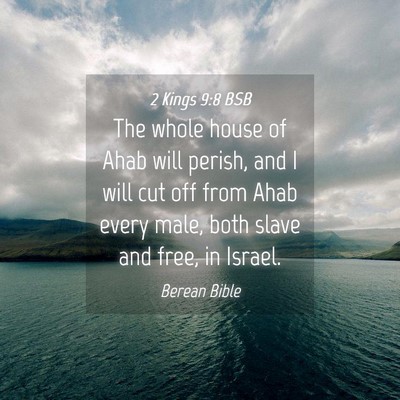 Picture 04 - 2 Kings 9:8 BSB - The whole house of Ahab will perish, and I will - Bible Verse Picture