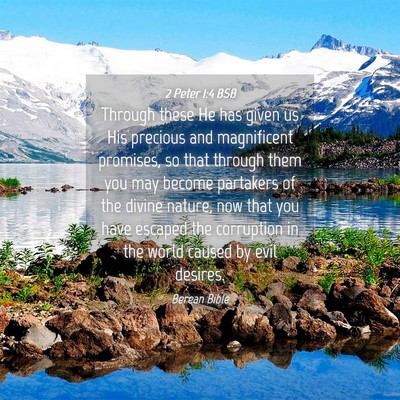 Picture 04 - 2 Peter 1:4 BSB - Through these He has given us His precious and - Bible Verse Picture