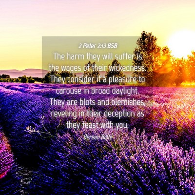 Picture 04 - 2 Peter 2:13 BSB - The harm they will suffer is the wages of their - Bible Verse Picture