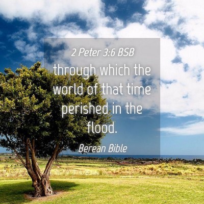 Picture 04 - 2 Peter 3:6 BSB - through which the world of that time perished in - Bible Verse Picture