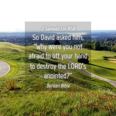 Picture 04 - 2 Samuel 1:14 BSB - So David asked him, “Why were you not afraid to - Bible Verse Picture