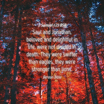 Picture 04 - 2 Samuel 1:23 BSB - Saul and Jonathan, beloved and delightful in - Bible Verse Picture