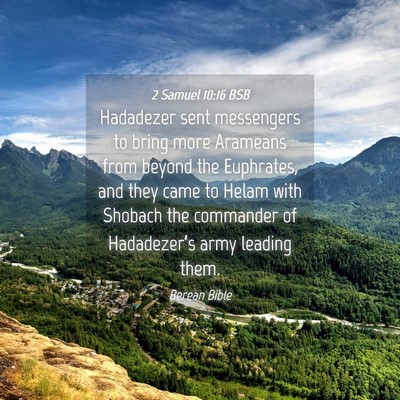 Picture 04 - 2 Samuel 10:16 BSB - Hadadezer sent messengers to bring more Arameans - Bible Verse Picture