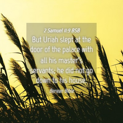 Picture 04 - 2 Samuel 11:9 BSB - But Uriah slept at the door of the palace with - Bible Verse Picture