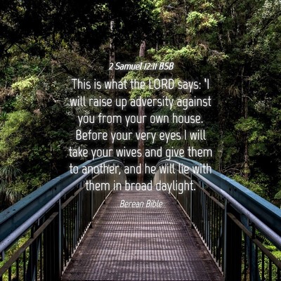 Picture 04 - 2 Samuel 12:11 BSB - This is what the LORD says: ‘I will raise up - Bible Verse Picture