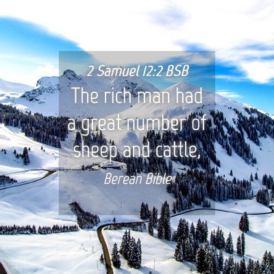Picture 04 - 2 Samuel 12:2 BSB - The rich man had a great number of sheep and - Bible Verse Picture