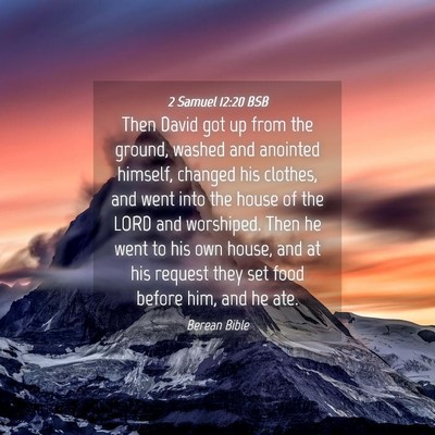 Picture 04 - 2 Samuel 12:20 BSB - Then David got up from the ground, washed and - Bible Verse Picture