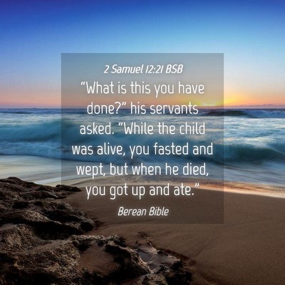 Picture 04 - 2 Samuel 12:21 BSB - “What is this you have done?” his servants - Bible Verse Picture