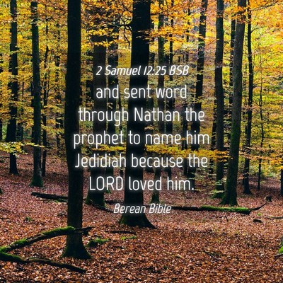 Picture 04 - 2 Samuel 12:25 BSB - and sent word through Nathan the prophet to name - Bible Verse Picture