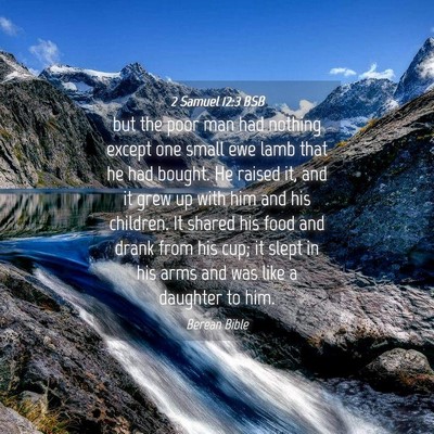 Picture 04 - 2 Samuel 12:3 BSB - but the poor man had nothing except one small ewe - Bible Verse Picture