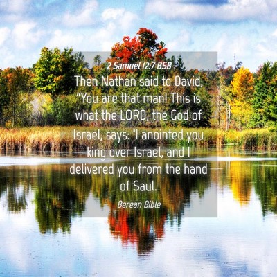 Picture 04 - 2 Samuel 12:7 BSB - Then Nathan said to David, “You are that man! - Bible Verse Picture