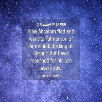 Picture 04 - 2 Samuel 13:37 BSB - Now Absalom fled and went to Talmai son of - Bible Verse Picture