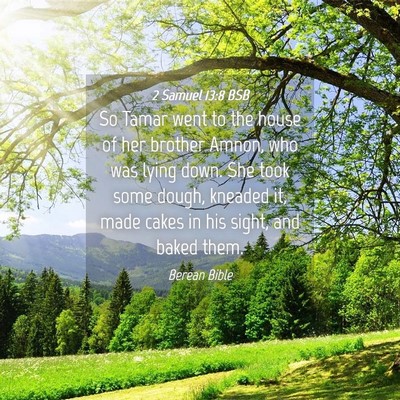 Picture 04 - 2 Samuel 13:8 BSB - So Tamar went to the house of her brother Amnon, - Bible Verse Picture