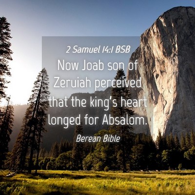 Picture 04 - 2 Samuel 14:1 BSB - Now Joab son of Zeruiah perceived that the - Bible Verse Picture