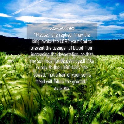 Picture 04 - 2 Samuel 14:11 BSB - “Please,” she replied, “may the king invoke - Bible Verse Picture