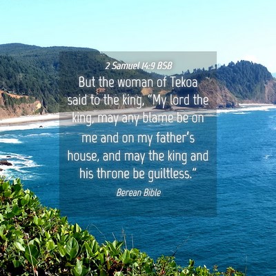 Picture 04 - 2 Samuel 14:9 BSB - But the woman of Tekoa said to the king, “My - Bible Verse Picture