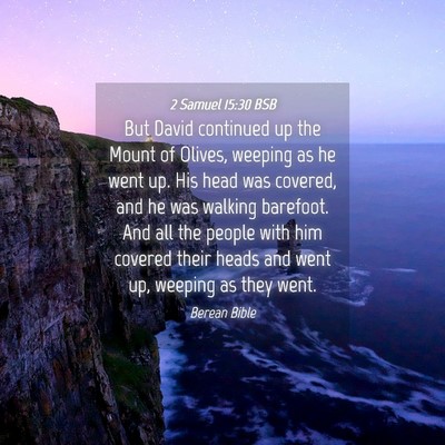 Picture 04 - 2 Samuel 15:30 BSB - But David continued up the Mount of Olives, - Bible Verse Picture
