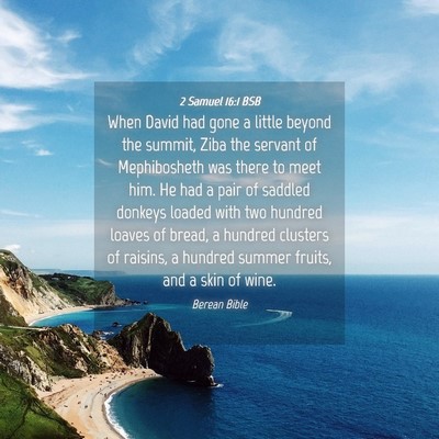 Picture 04 - 2 Samuel 16:1 BSB - When David had gone a little beyond the summit, - Bible Verse Picture