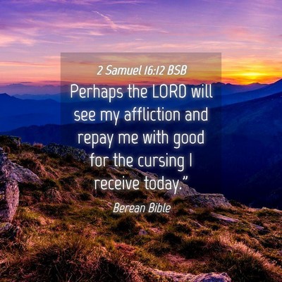 Picture 04 - 2 Samuel 16:12 BSB - Perhaps the LORD will see my affliction and repay - Bible Verse Picture