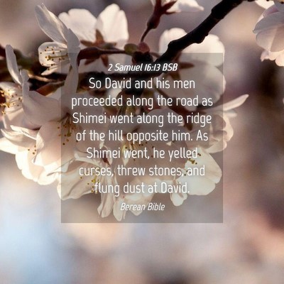 Picture 04 - 2 Samuel 16:13 BSB - So David and his men proceeded along the road as - Bible Verse Picture