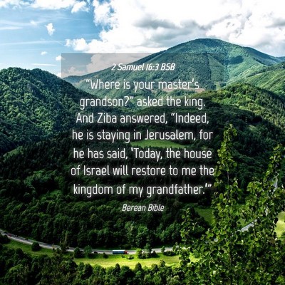 Picture 04 - 2 Samuel 16:3 BSB - “Where is your master’s grandson?” asked - Bible Verse Picture
