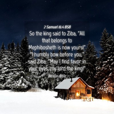 Picture 04 - 2 Samuel 16:4 BSB - So the king said to Ziba, “All that belongs to - Bible Verse Picture