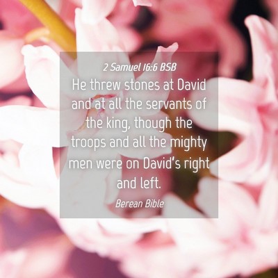Picture 04 - 2 Samuel 16:6 BSB - He threw stones at David and at all the servants - Bible Verse Picture