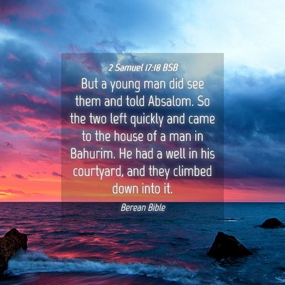 Picture 04 - 2 Samuel 17:18 BSB - But a young man did see them and told Absalom. So - Bible Verse Picture