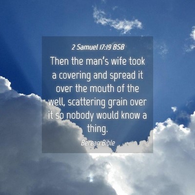 Picture 04 - 2 Samuel 17:19 BSB - Then the man’s wife took a covering and spread - Bible Verse Picture