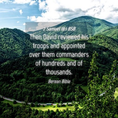 Picture 04 - 2 Samuel 18:1 BSB - Then David reviewed his troops and appointed over - Bible Verse Picture