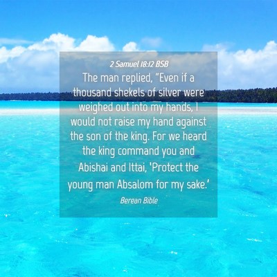 Picture 04 - 2 Samuel 18:12 BSB - The man replied, “Even if a thousand shekels of - Bible Verse Picture