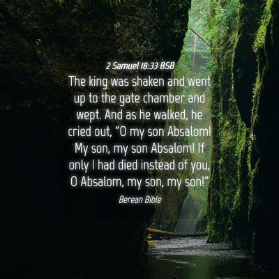 Picture 04 - 2 Samuel 18:33 BSB - The king was shaken and went up to the gate - Bible Verse Picture