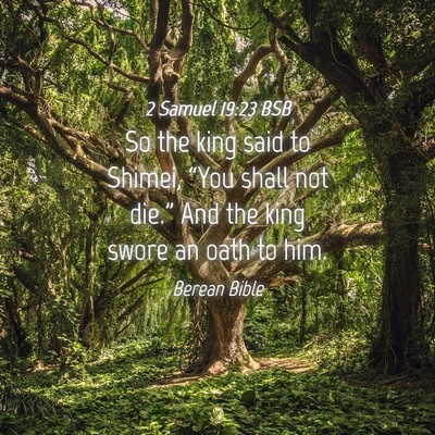 Picture 04 - 2 Samuel 19:23 BSB - So the king said to Shimei, “You shall not - Bible Verse Picture
